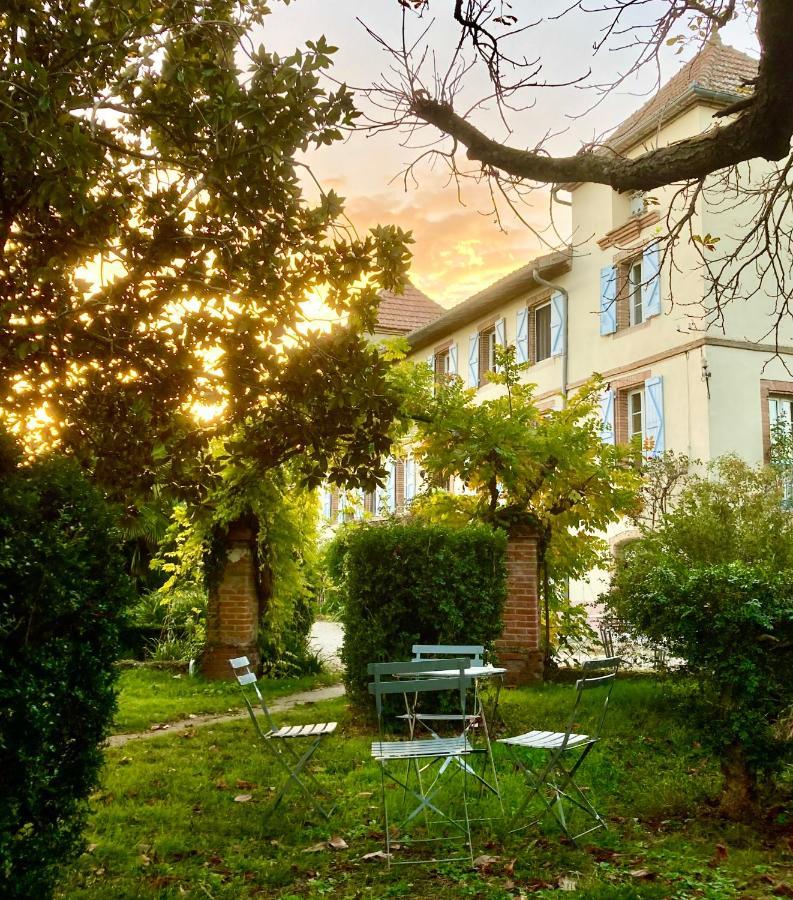 Domaine De Menerque - Petit Chateau Avec Piscine Lisle-sur-Tarn المظهر الخارجي الصورة