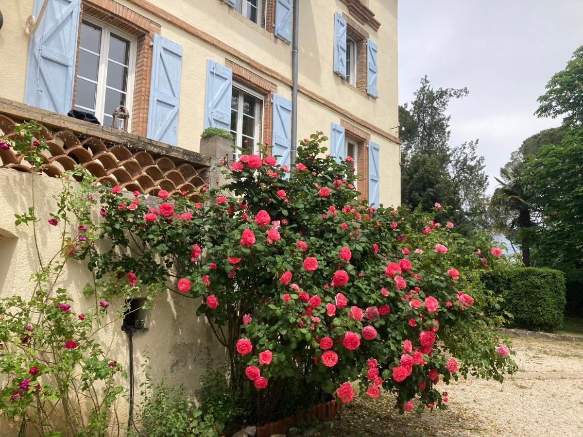 Domaine De Menerque - Petit Chateau Avec Piscine Lisle-sur-Tarn المظهر الخارجي الصورة