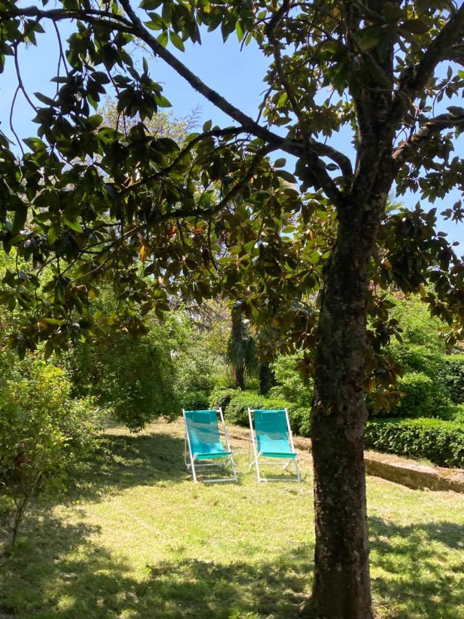 Domaine De Menerque - Petit Chateau Avec Piscine Lisle-sur-Tarn المظهر الخارجي الصورة