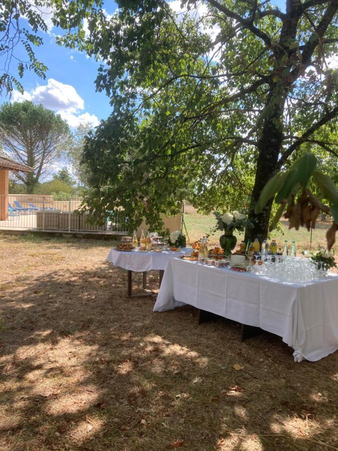Domaine De Menerque - Petit Chateau Avec Piscine Lisle-sur-Tarn المظهر الخارجي الصورة