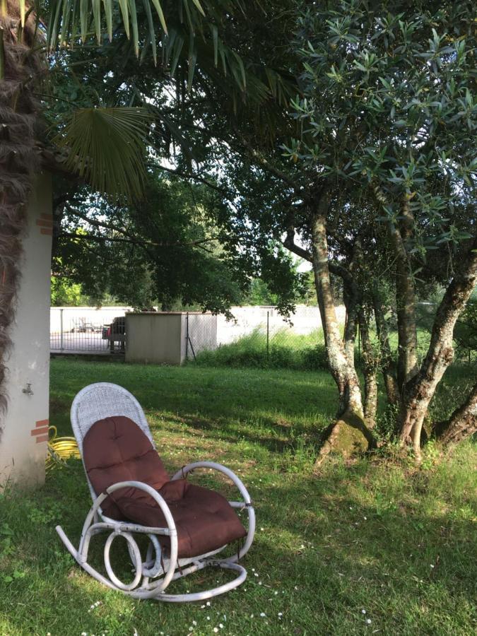 Domaine De Menerque - Petit Chateau Avec Piscine Lisle-sur-Tarn المظهر الخارجي الصورة