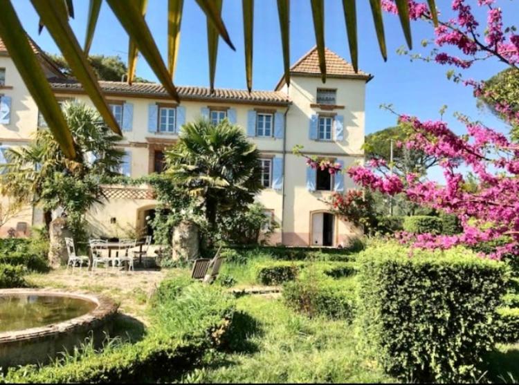 Domaine De Menerque - Petit Chateau Avec Piscine Lisle-sur-Tarn المظهر الخارجي الصورة
