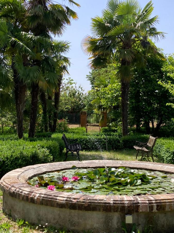 Domaine De Menerque - Petit Chateau Avec Piscine Lisle-sur-Tarn المظهر الخارجي الصورة