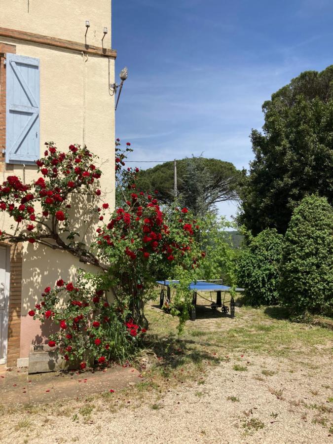 Domaine De Menerque - Petit Chateau Avec Piscine Lisle-sur-Tarn المظهر الخارجي الصورة